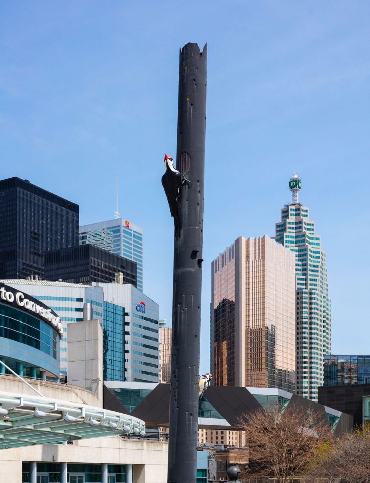 Woodpecker Column