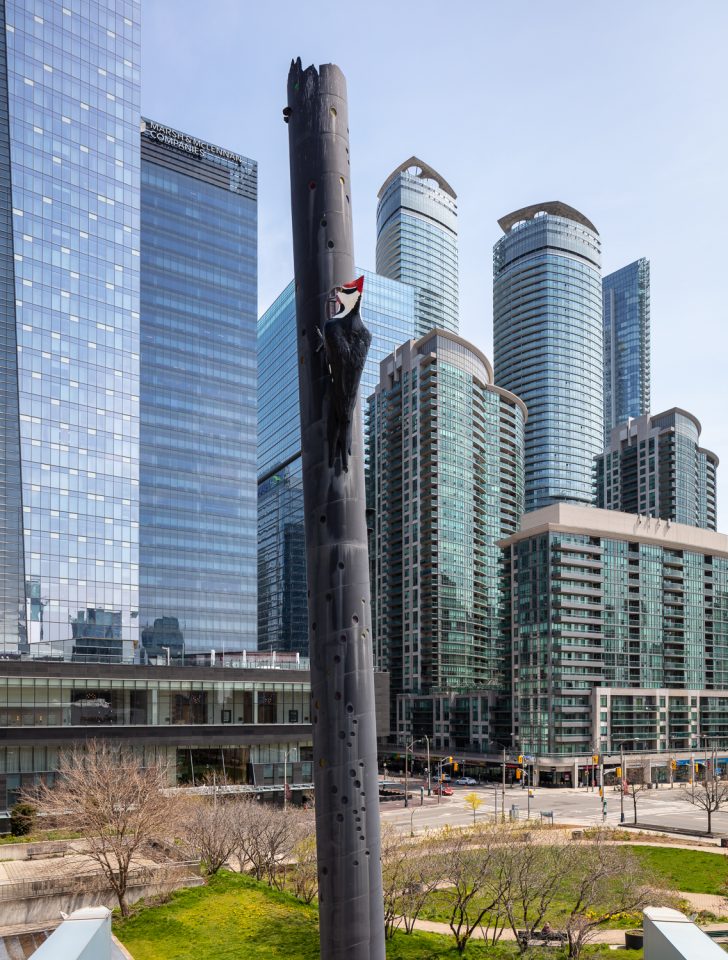 Woodpecker Column